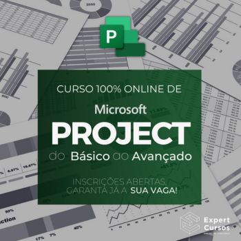 Curso MS Project